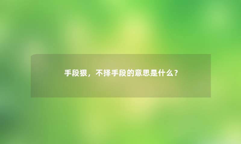 手段狠，不择手段的意思是什么？