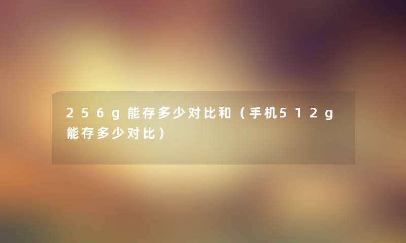 256g能存多少对比和（手机512g能存多少对比）