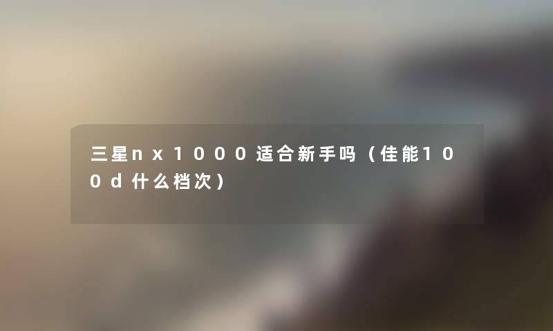 三星nx1000适合新手吗（佳能100d什么档次）