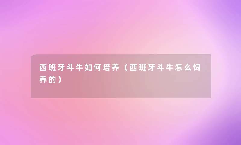 西班牙斗牛如何培养（西班牙斗牛怎么饲养的）