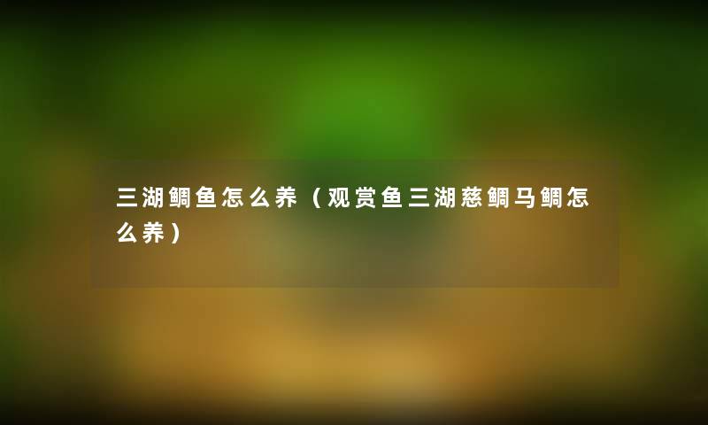 三湖鲷鱼怎么养（观赏鱼三湖慈鲷马鲷怎么养）