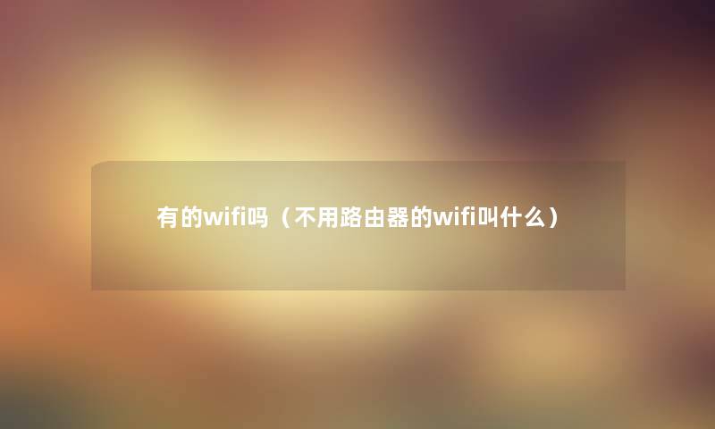 有的wifi吗（不用路由器的wifi叫什么）