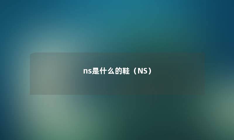 ns是什么的鞋（NS）