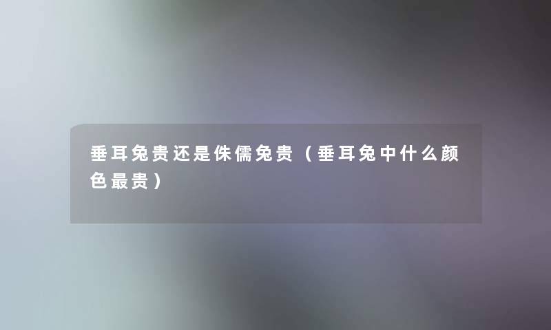 垂耳兔贵还是侏儒兔贵（垂耳兔中什么颜色贵）