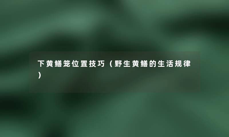 下黄鳝笼位置技巧（野生黄鳝的生活规律）