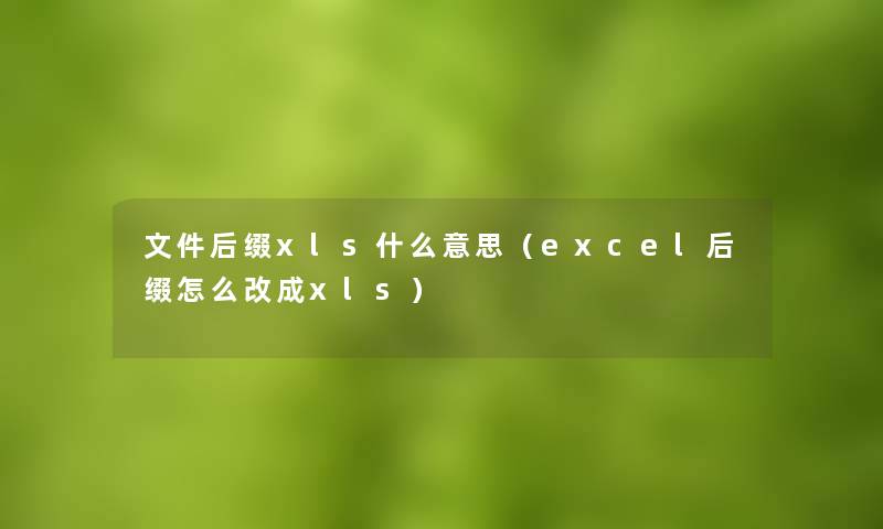 文件后缀xls什么意思（excel后缀怎么改成xls）