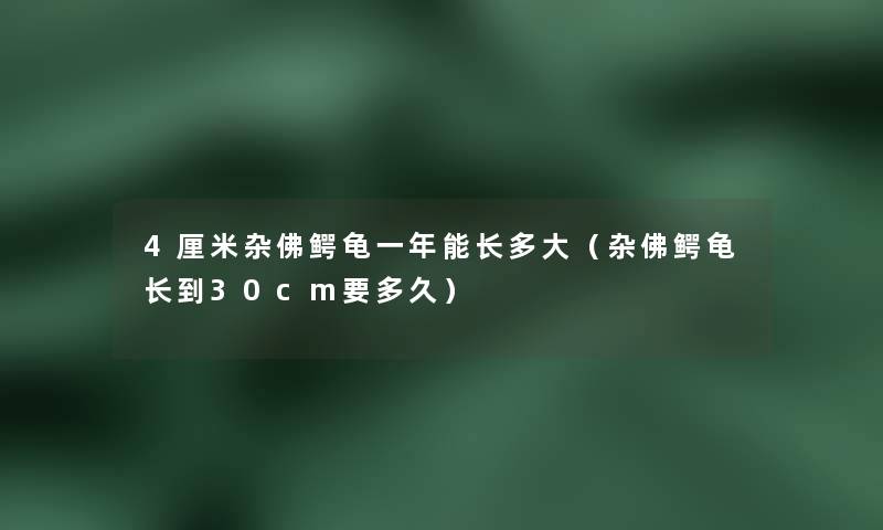 4厘米杂佛鳄龟一年能长多大（杂佛鳄龟长到30cm要多久）