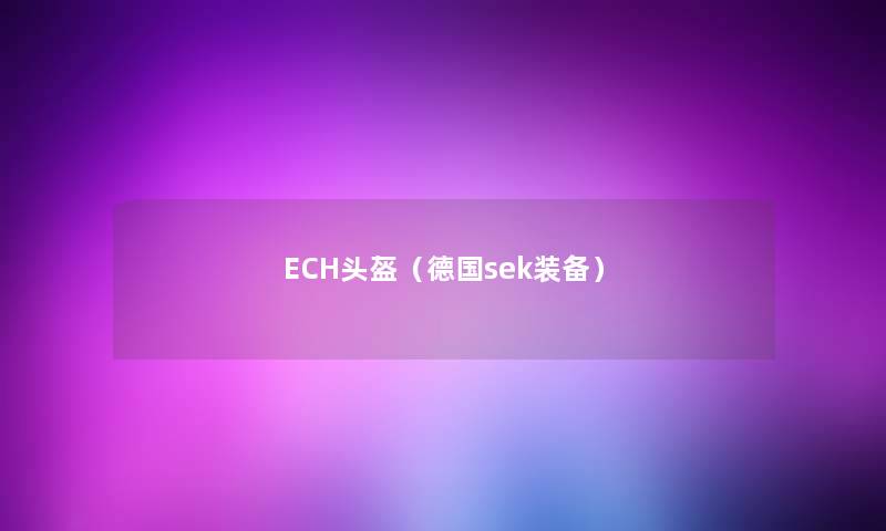 ECH头盔（德国sek装备）