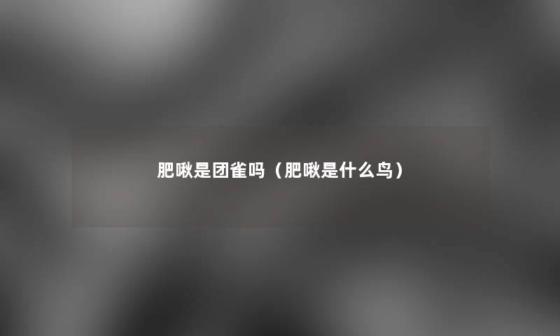 肥啾是团雀吗（肥啾是什么鸟）