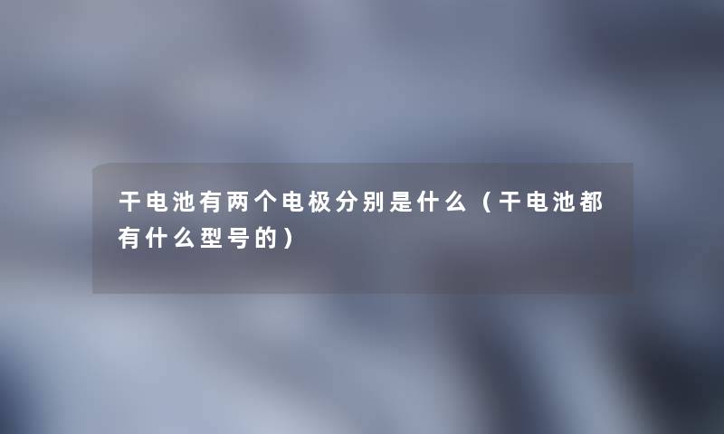 干电池有两个电极分别是什么（干电池都有什么型号的）