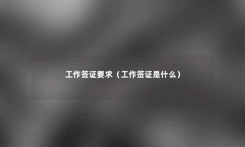 工作签证要求（工作签证是什么）