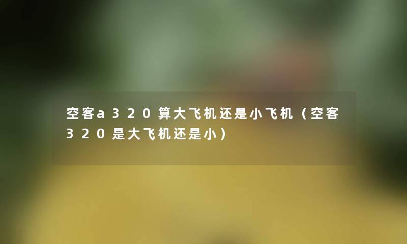 空客a320算大飞机还是小飞机（空客320是大飞机还是小）