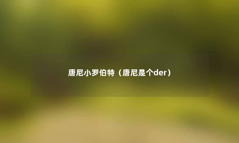 唐尼小罗伯特（唐尼是个der）