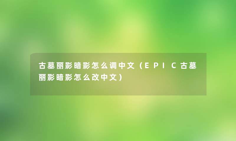 古墓丽影暗影怎么调中文（EPIC古墓丽影暗影怎么改中文）