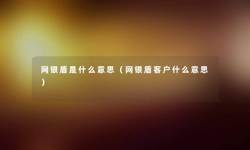 网银盾是什么意思（网银盾客户什么意思）