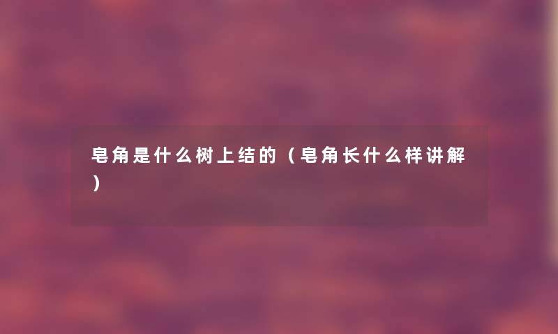 皂角是什么树上结的（皂角长什么样讲解）