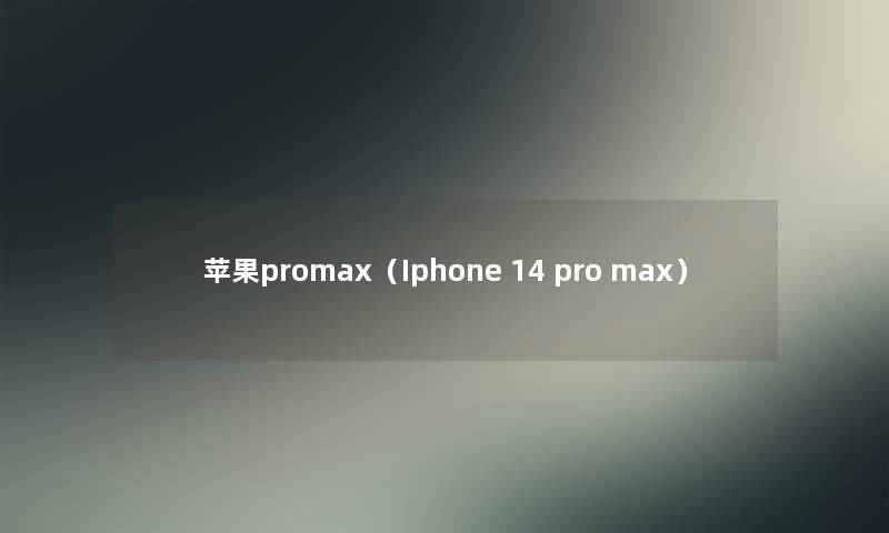 苹果promax（Iphone 14 pro max）