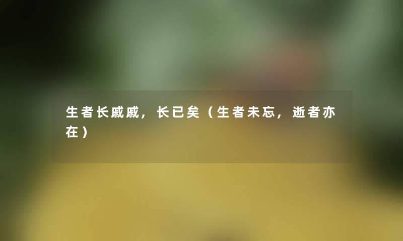 生者长戚戚,长已矣（生者未忘,逝者亦在）