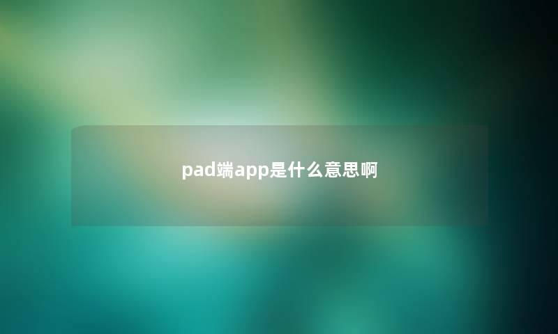 pad端app是什么意思啊