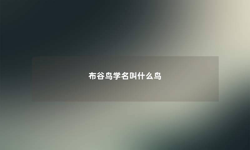 布谷鸟学名叫什么鸟