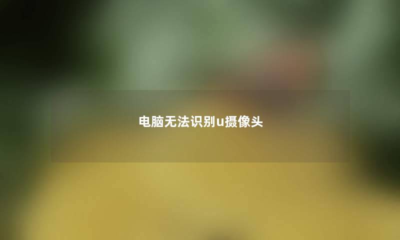 电脑无法识别u摄像头