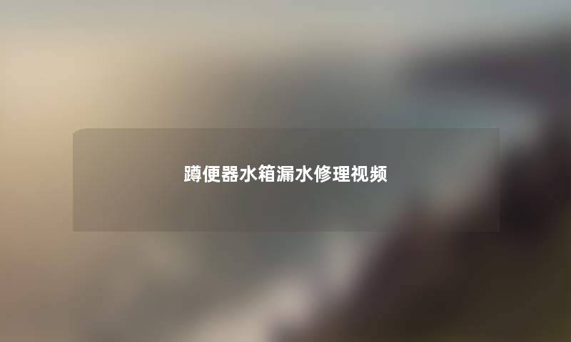 蹲便器水箱漏水修理视频