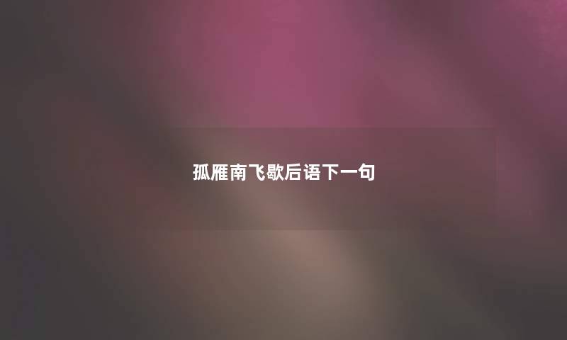 孤雁南飞歇后语下一句